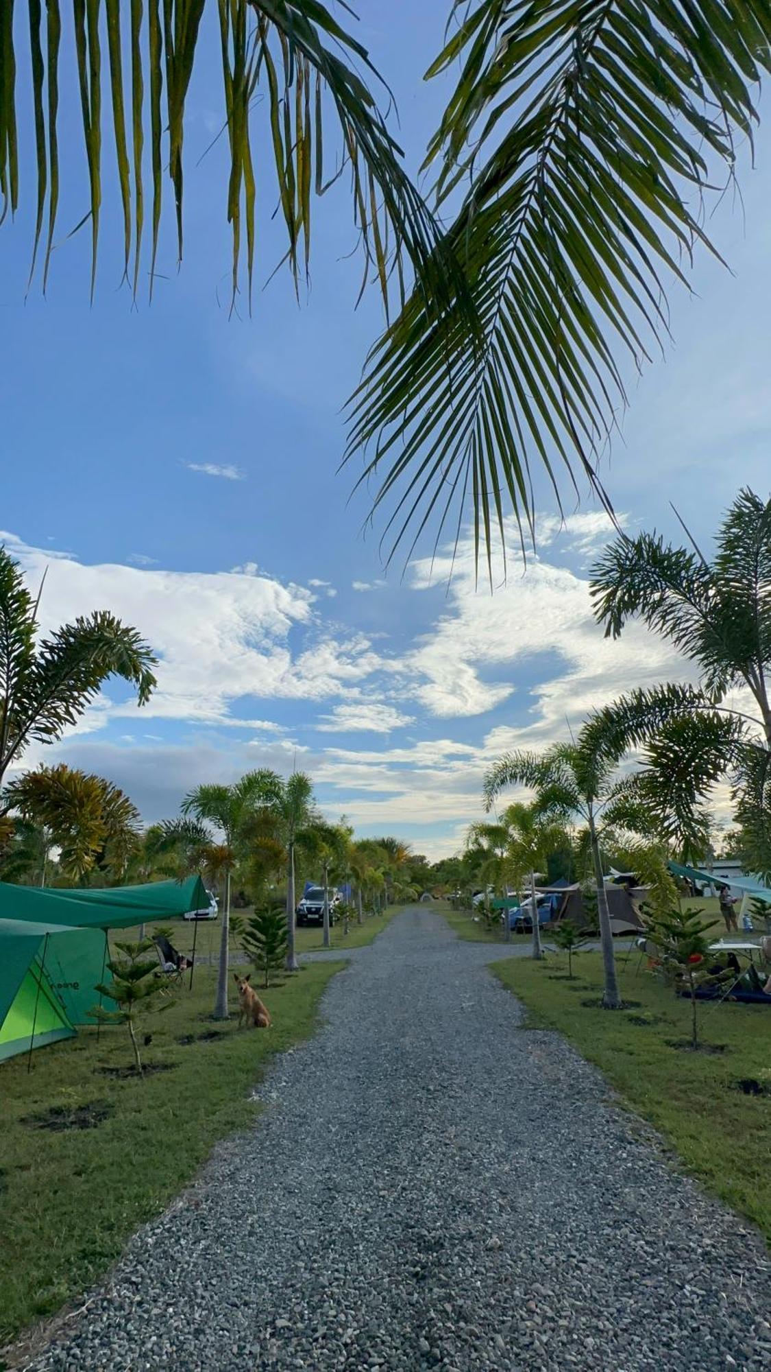 Green Acres Village Moalboal Exterior foto